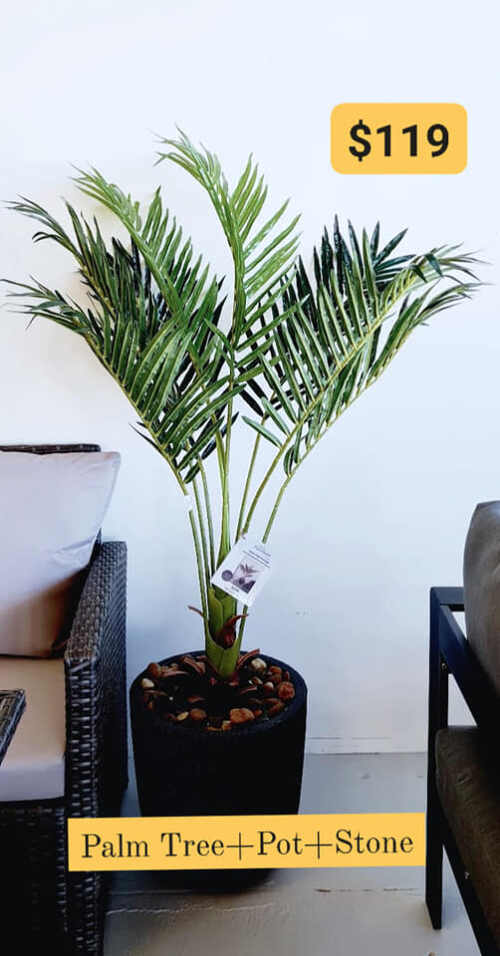 Tropical Palm Tree Decor Set