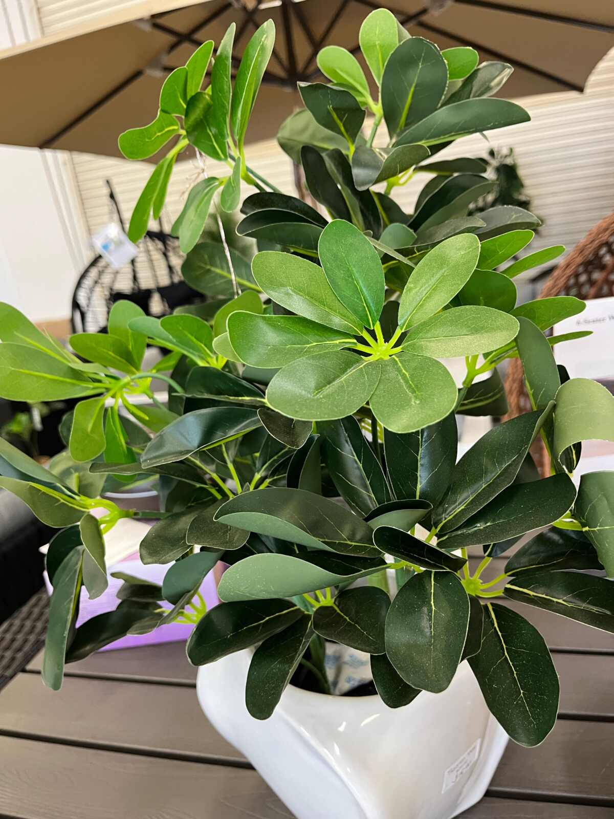 Artificial Umbrella Leaf Plant in Modern White Pot