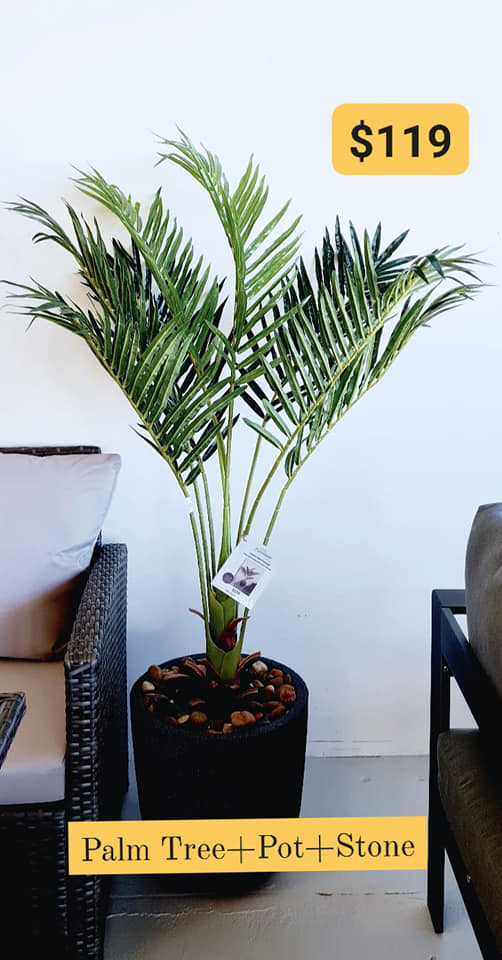 Tropical Palm Tree Decor Set