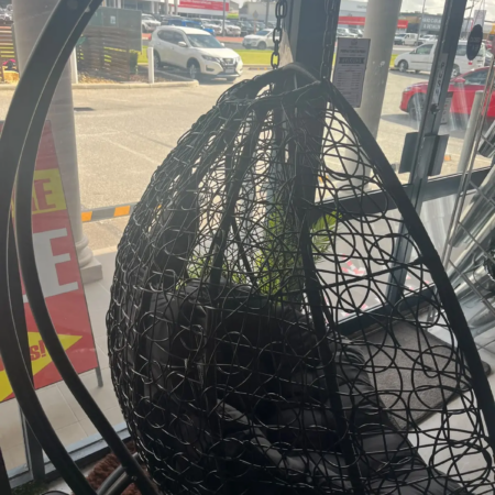 Black BirdNest Double Seat Egg Chair